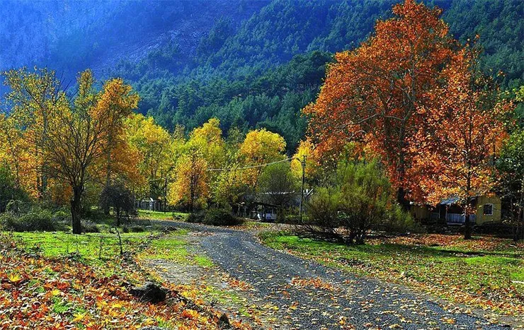 Belemedik Tabiat Parkı