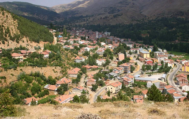 Sincik resimleri