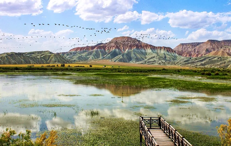Nallıhan Kuş Cenneti ve Kız Tepesi Tabiat Anıtı