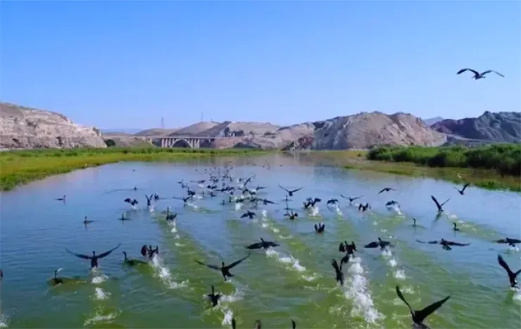 Nallıhan Kuş Cenneti ve Kız Tepesi Tabiat Anıtı