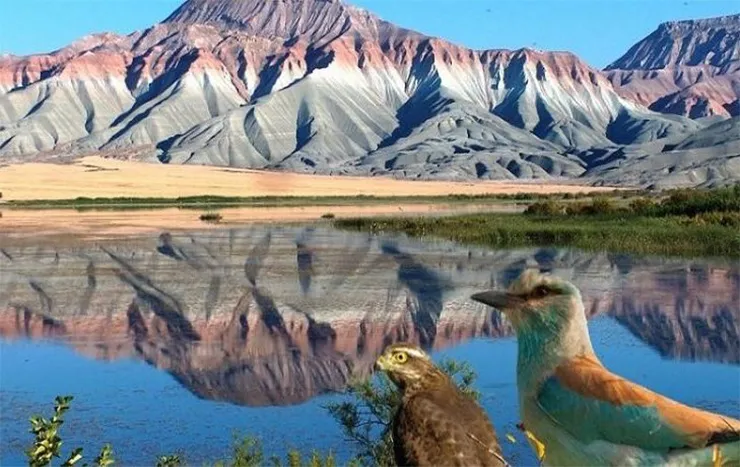 Nallıhan Kuş Cenneti ve Kız Tepesi Tabiat Anıtı