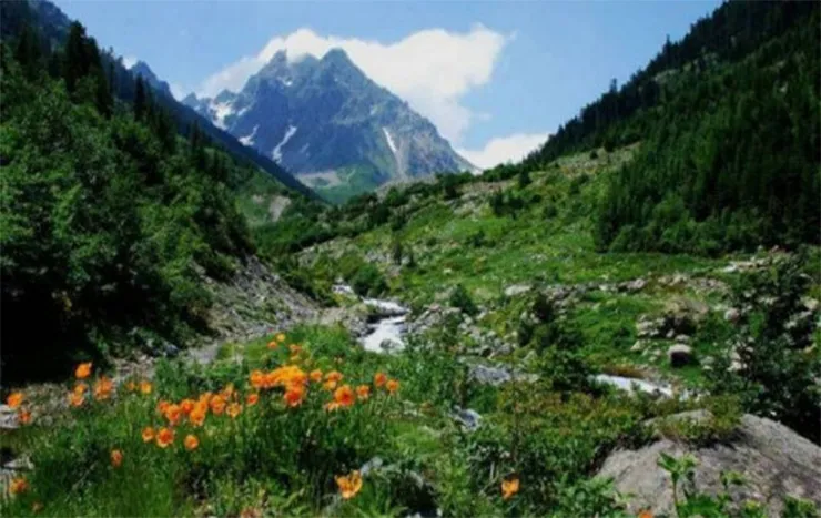 İntkor Yaylası