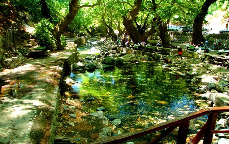 Kazdağı Milli Parkı