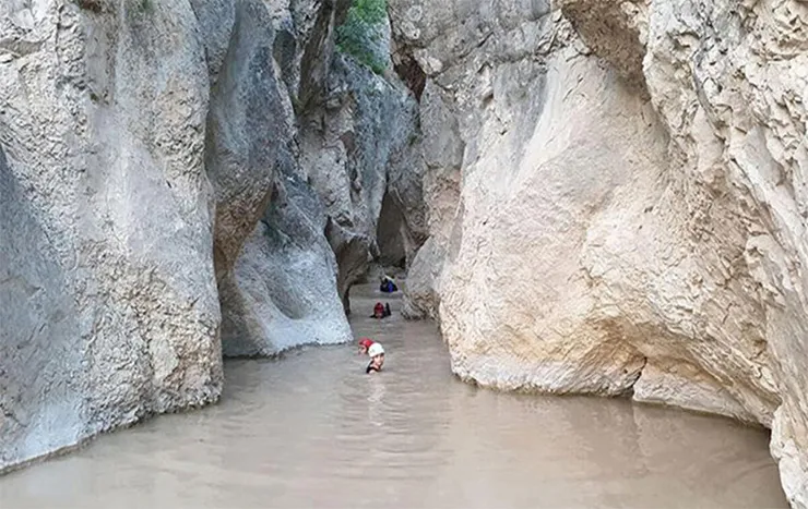 Yeni pazar resimleri