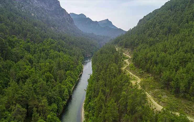 Sığla Ormanı Tabiat Parkı