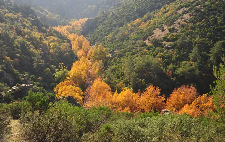 Orhaneli resimleri