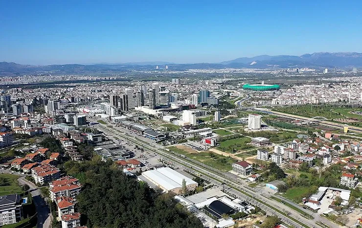 Nilüfer resimleri