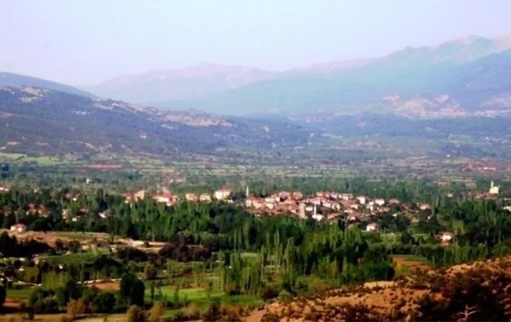 Beyağaç resimleri