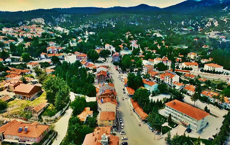 Çameli resimleri
