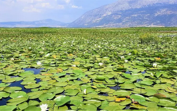 Işıklı Gölü
