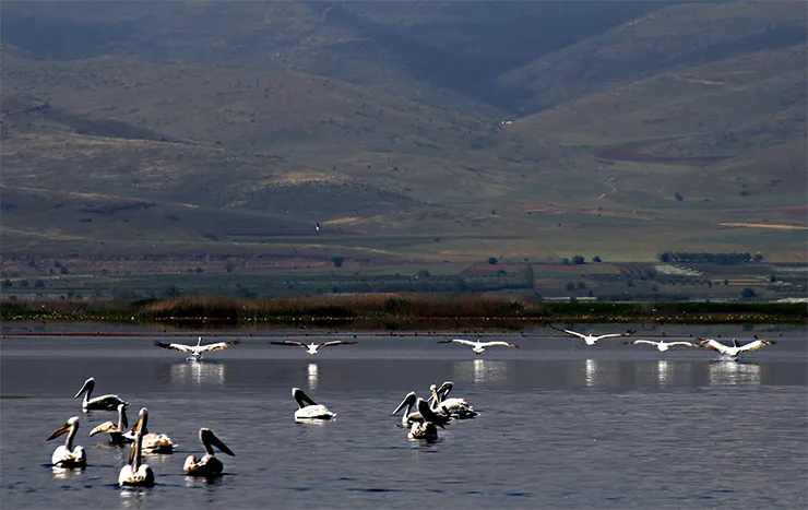 Işıklı Gölü