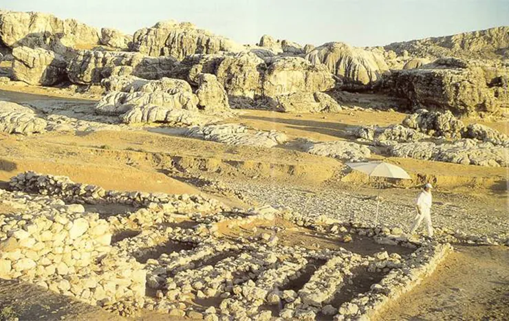 Çayönü Buluntuları