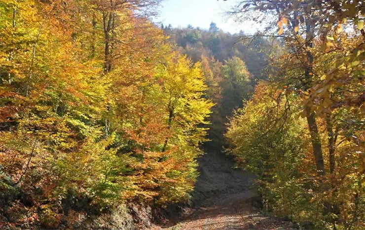 Yılançatı Kanyonu Tabiat Parkı