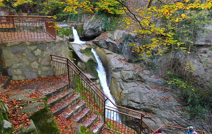 Düzce Merkez resimleri