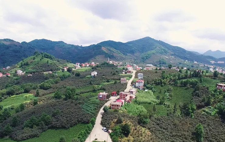 Güce resimleri