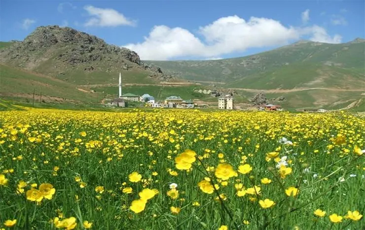 Taşköprü Yaylası