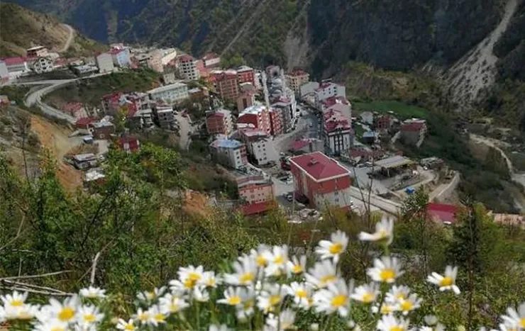 Kürtün resimleri