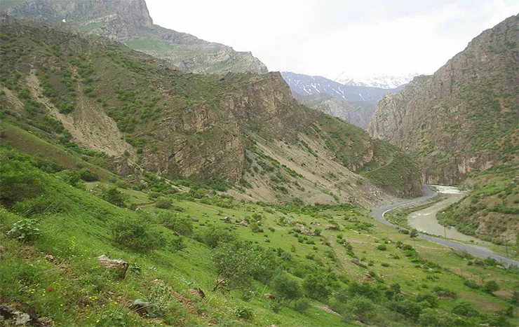 Zap Vadisi