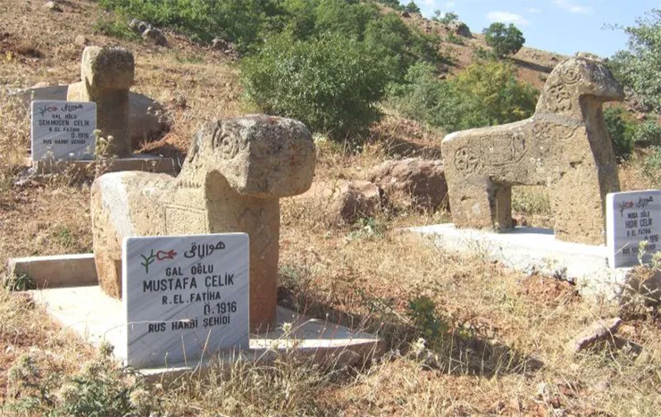 Karakoyunlu resimleri