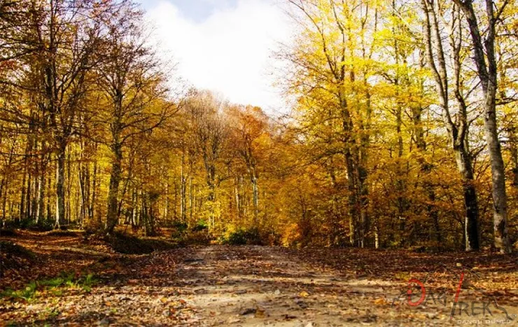 Çilingöz Tabiat Parkı