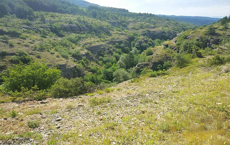 Katır Yolu