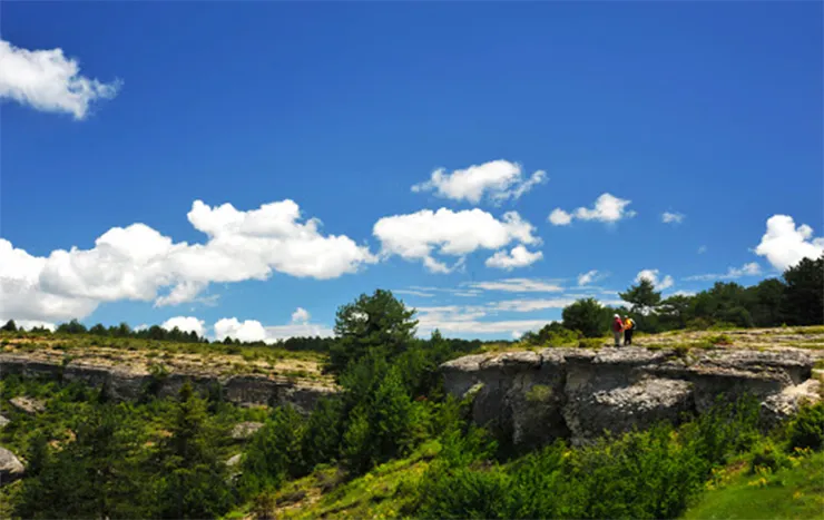Katır Yolu