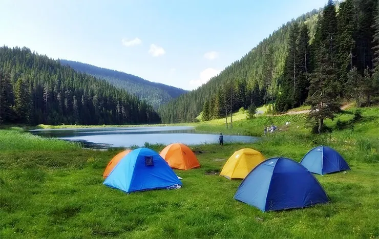Yenice Kent Ormanı