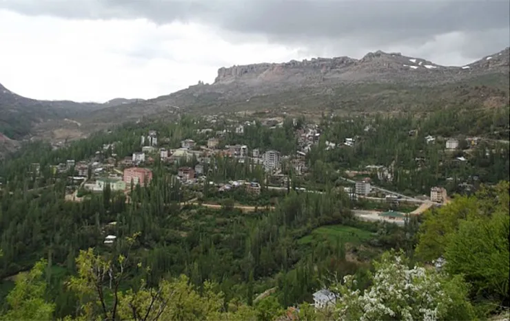 Sarıveliler resimleri