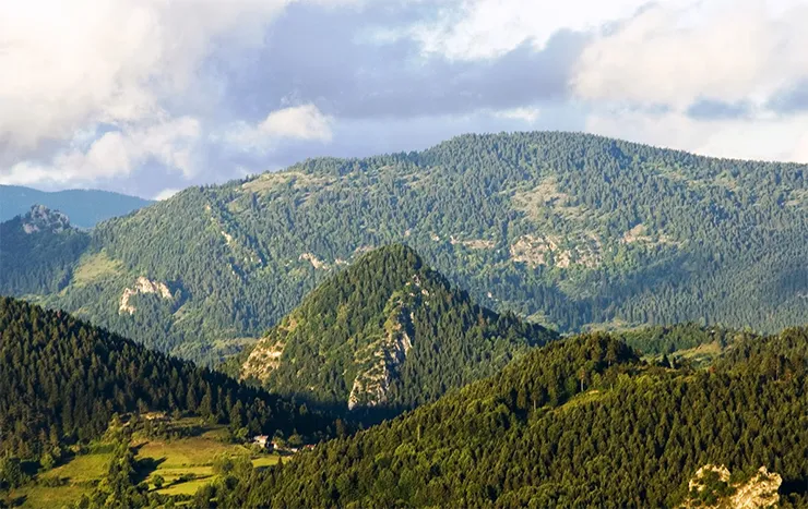 Küre Dağları Milli Parkı