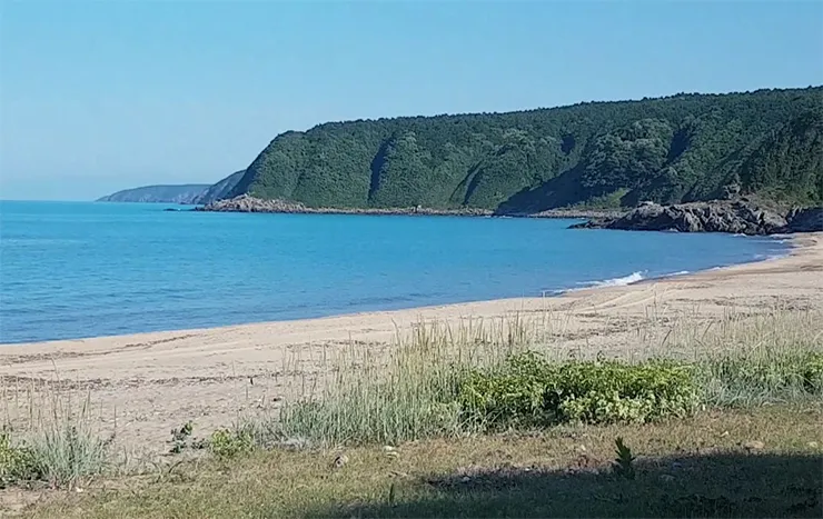 Selvez Koyu
