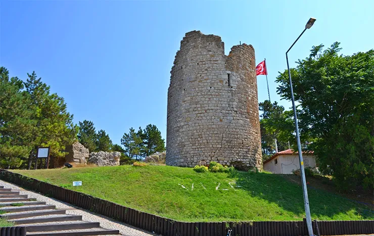 Vize resimleri