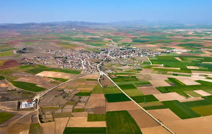 Altınekin resimleri