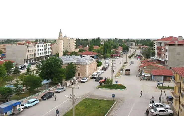 Çeltik resimleri