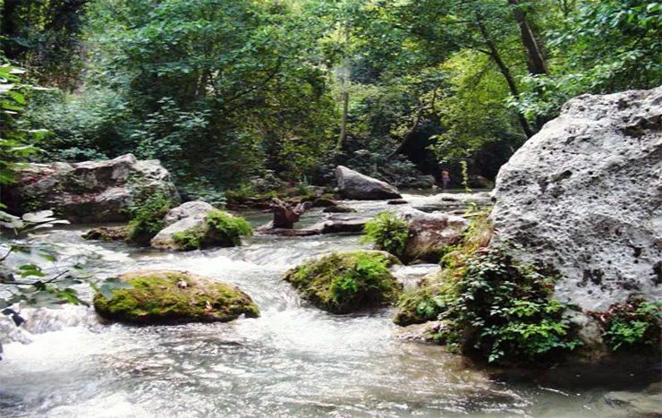 Kayacı Vadisi