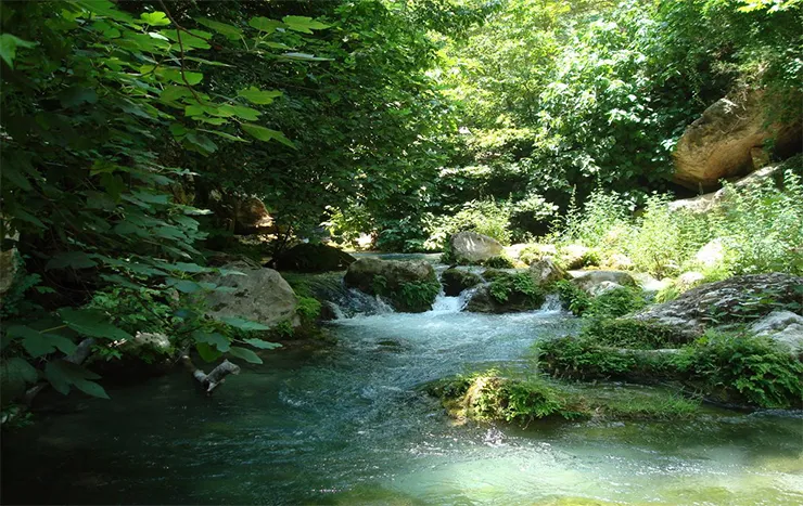 Kayacı Vadisi