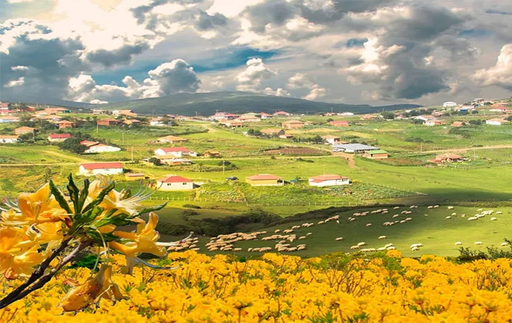 Korgan Yaylası