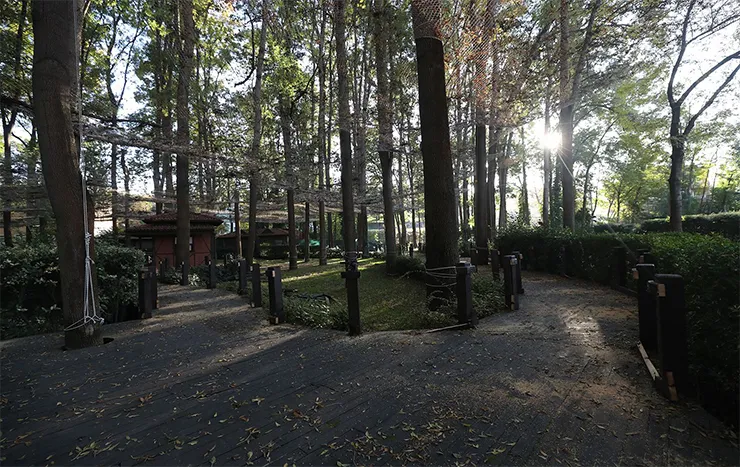 Orman Park