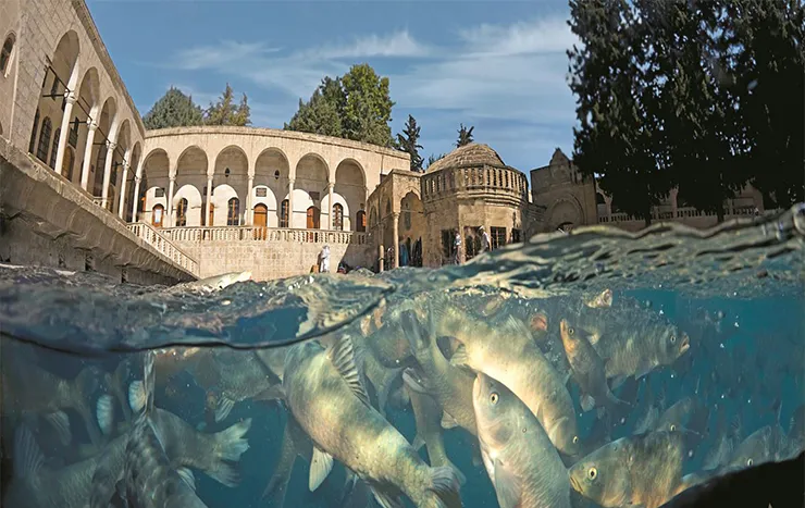 Balıklıgöl