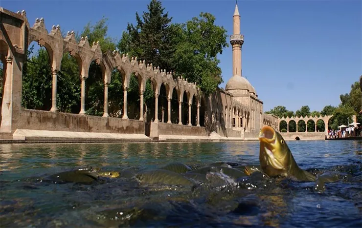 Balıklıgöl