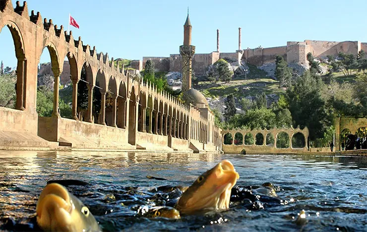 Balıklıgöl