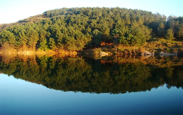 Sinop