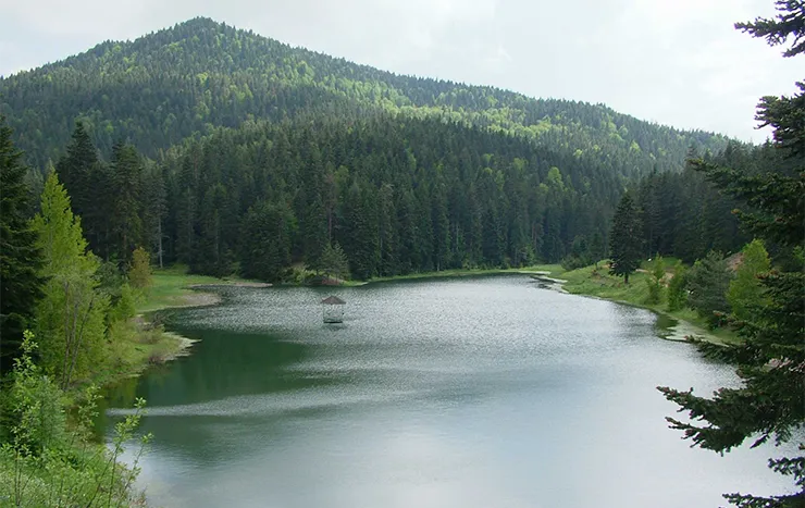 Akgöl Tabiat Parkı