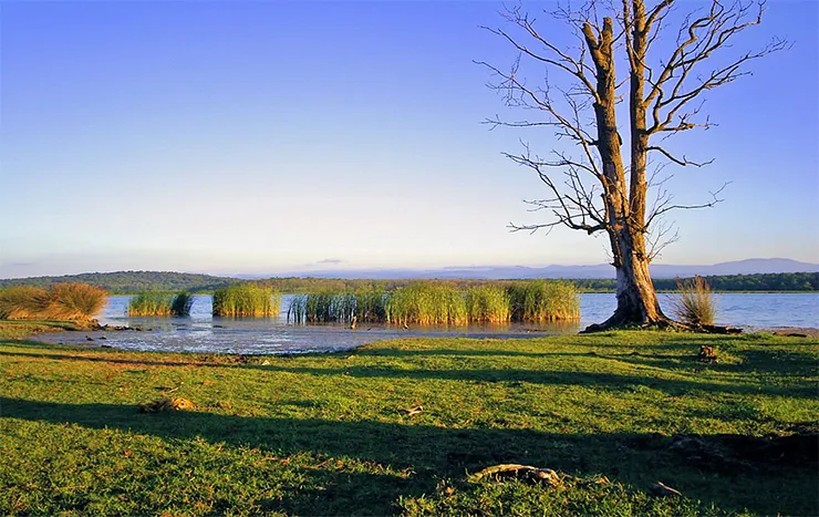 Sarıkum