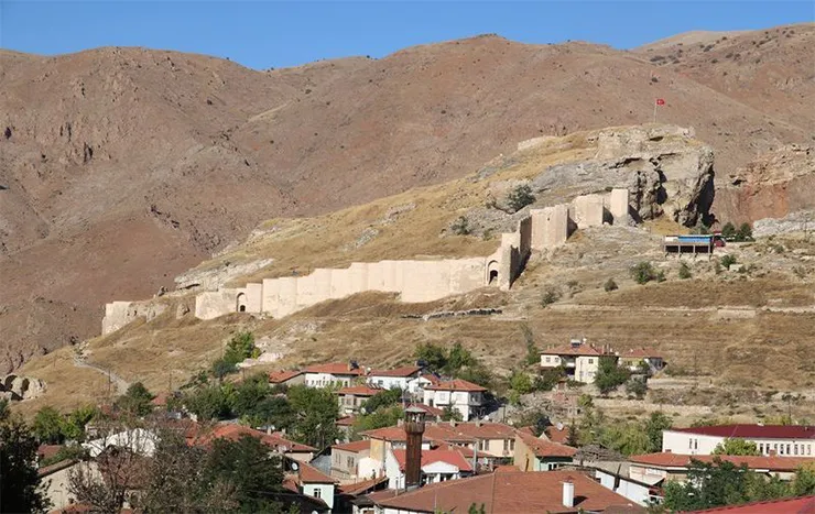 Divriği Kalesi
