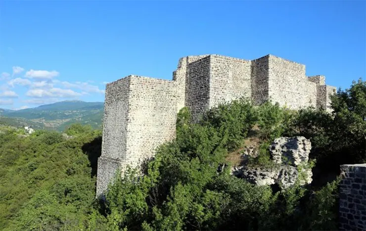Niksar Kalesi