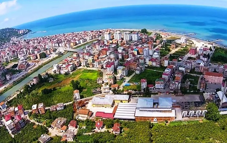 Araklı resimleri