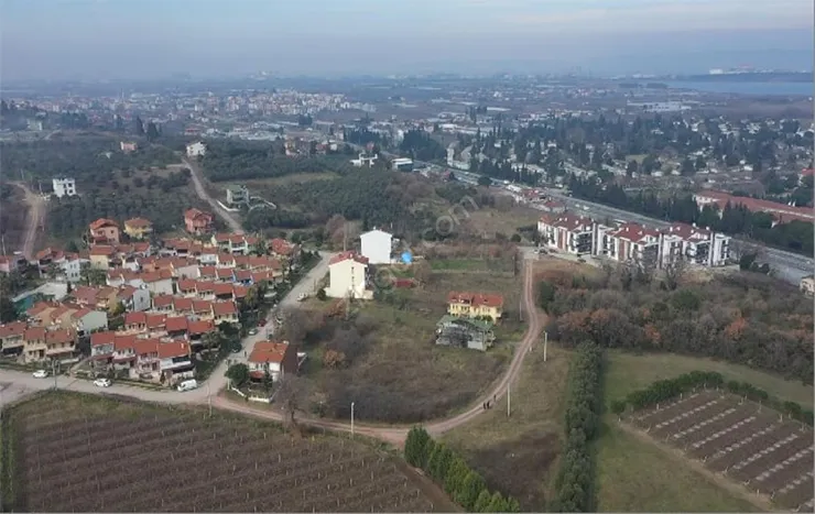 Altınova resimleri