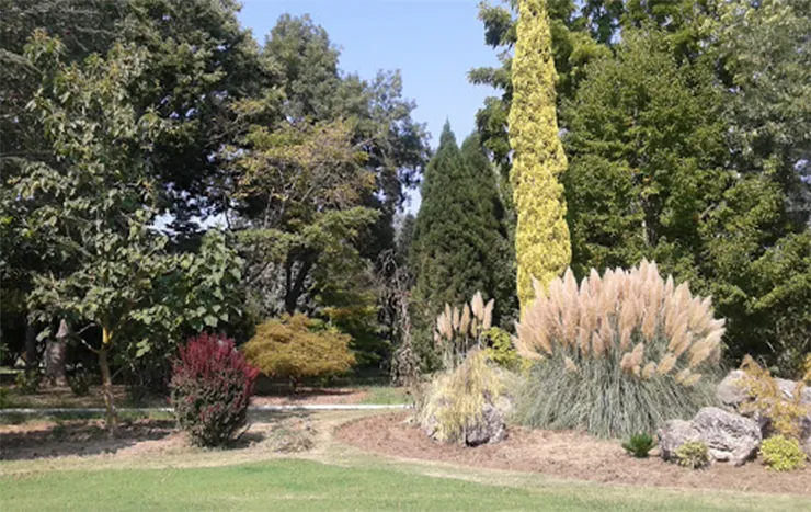 Karaca Arboretum