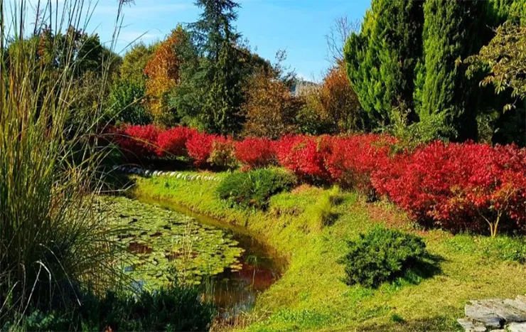 Karaca Arboretum