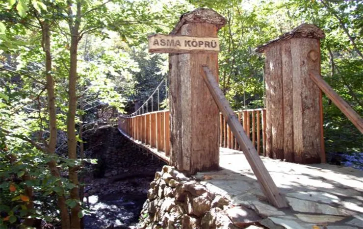 Yalova Kent Ormanı